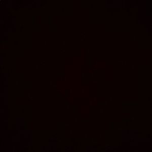 Meet your Posher, Tessa